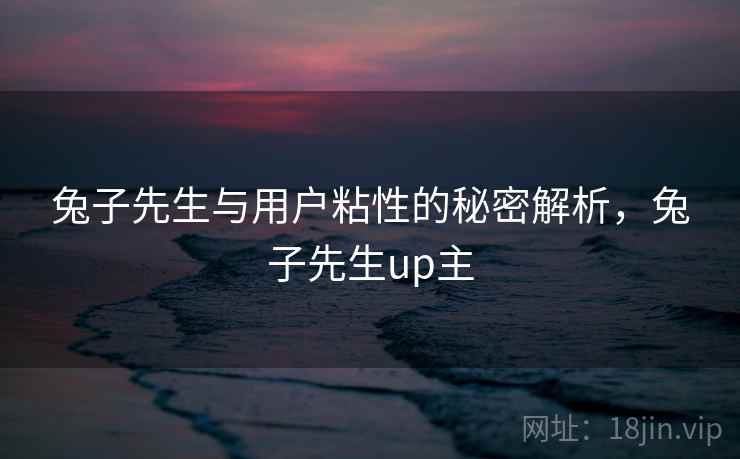 兔子先生与用户粘性的秘密解析，兔子先生up主  第1张