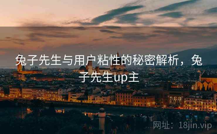 兔子先生与用户粘性的秘密解析，兔子先生up主  第2张