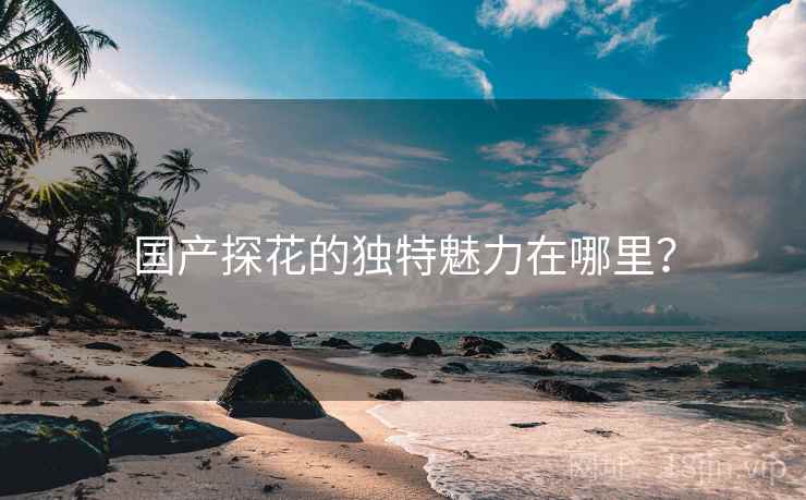 国产探花的独特魅力在哪里？  第2张