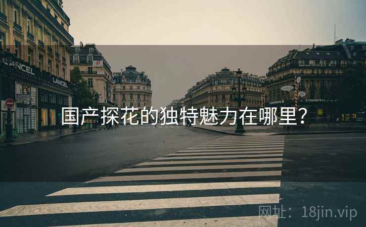 国产探花的独特魅力在哪里？  第1张