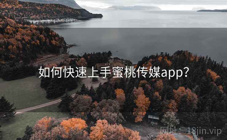 如何快速上手蜜桃传媒app？  第2张