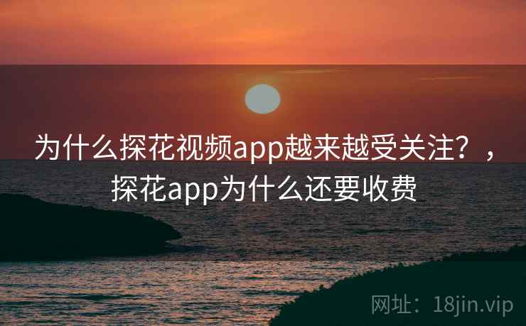 为什么探花视频app越来越受关注？，探花app为什么还要收费  第1张