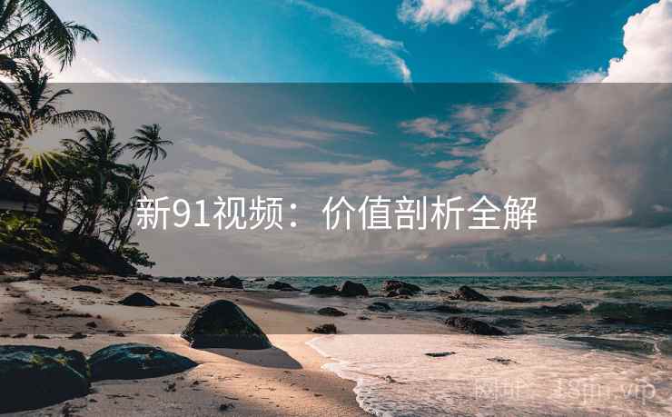 新91视频：价值剖析全解  第1张