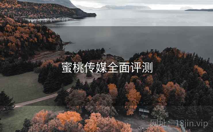 蜜桃传媒全面评测  第1张
