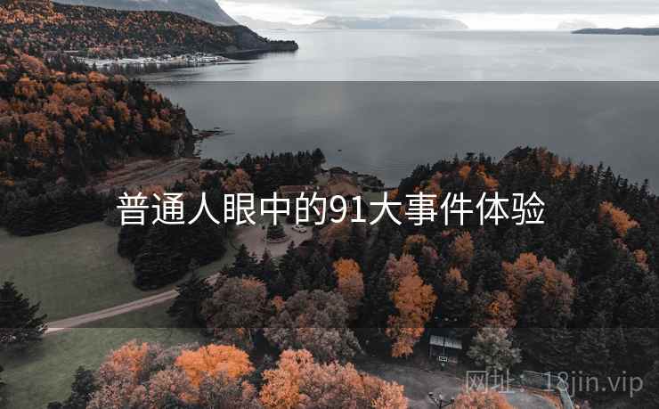普通人眼中的91大事件体验  第2张