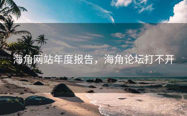 海角网站年度报告，海角论坛打不开  第1张