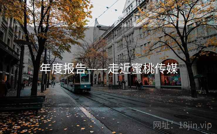 年度报告——走近蜜桃传媒  第2张