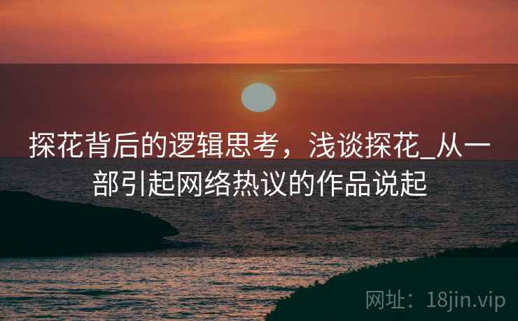 探花背后的逻辑思考，浅谈探花_从一部引起网络热议的作品说起  第1张