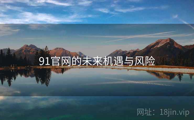 91官网的未来机遇与风险  第2张